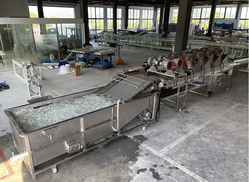 images/1654071684785cherry tomato grading equipment.jpg